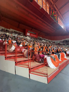 Les Félins